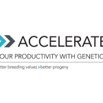accelerate logo