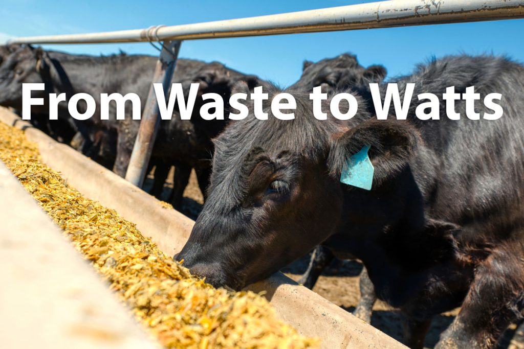 from waste to watts